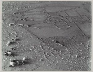 Dust Breeding, 1920, printed ca. 1967 Man Ray (American, 1890–1976) האבק של דושאמפ