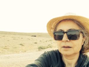 אירית חמו, 2015