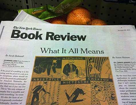 nytbr20110123 (1)
